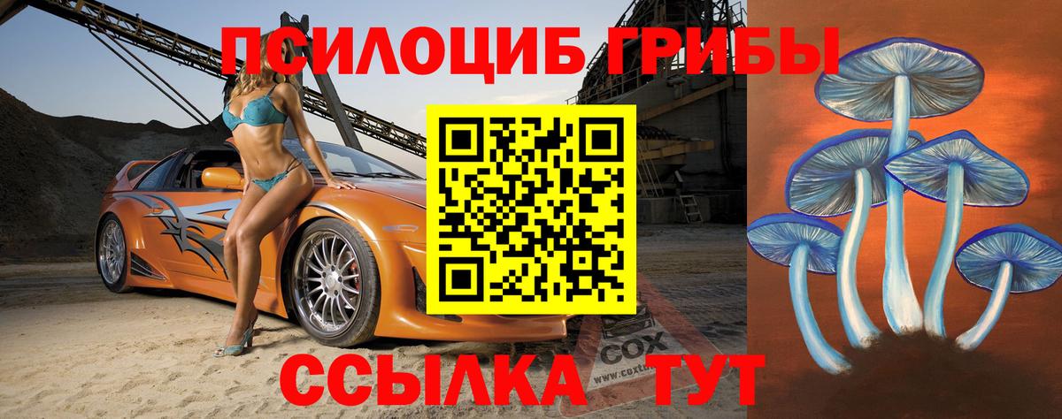 Саянск  Галлюциногенные грибы MAGIC MUSHROOMS  Псилоцибиновые грибы прущие грибы  купить  сайты  Вход с VPN 