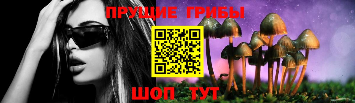 Псилоцибиновые грибы прущие грибы Саянск
